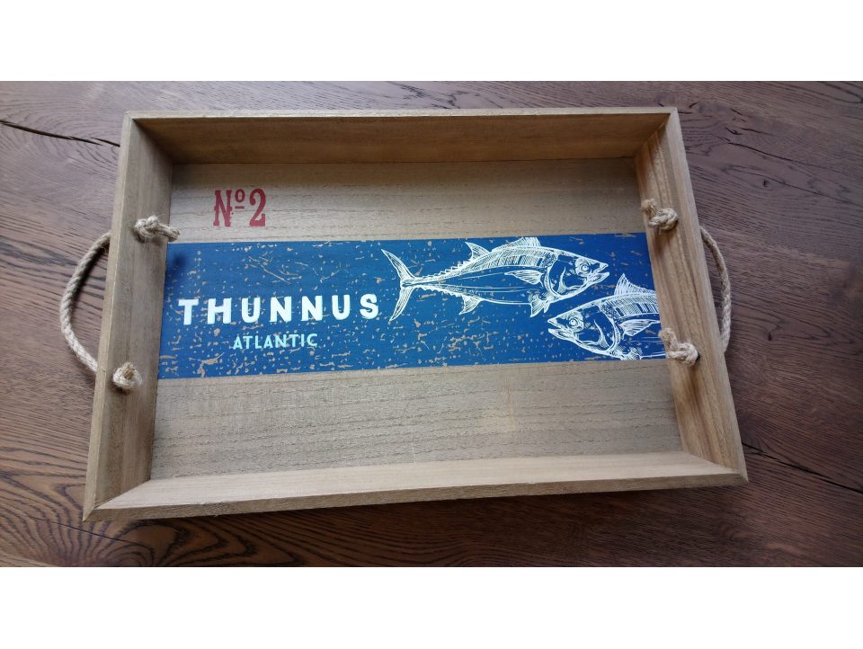 Plateau THUNNUS